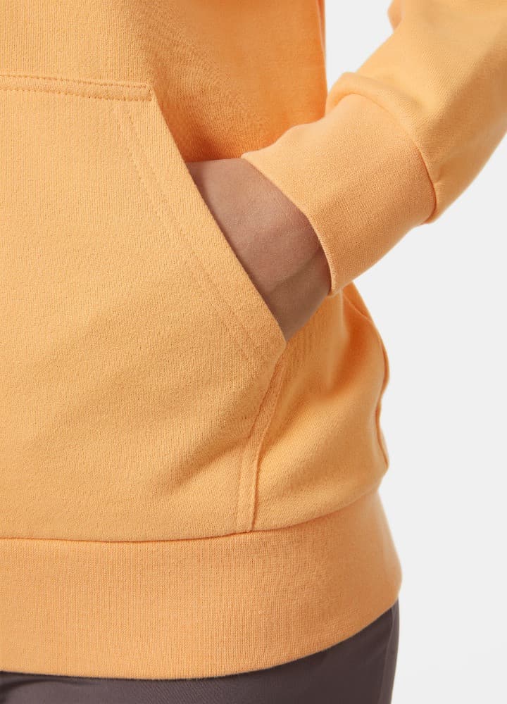 Helly Hansen W HH LOGO FULL ZIP HOODIE 2.0 Dámská mikina US L 34461_316 - náhled 3