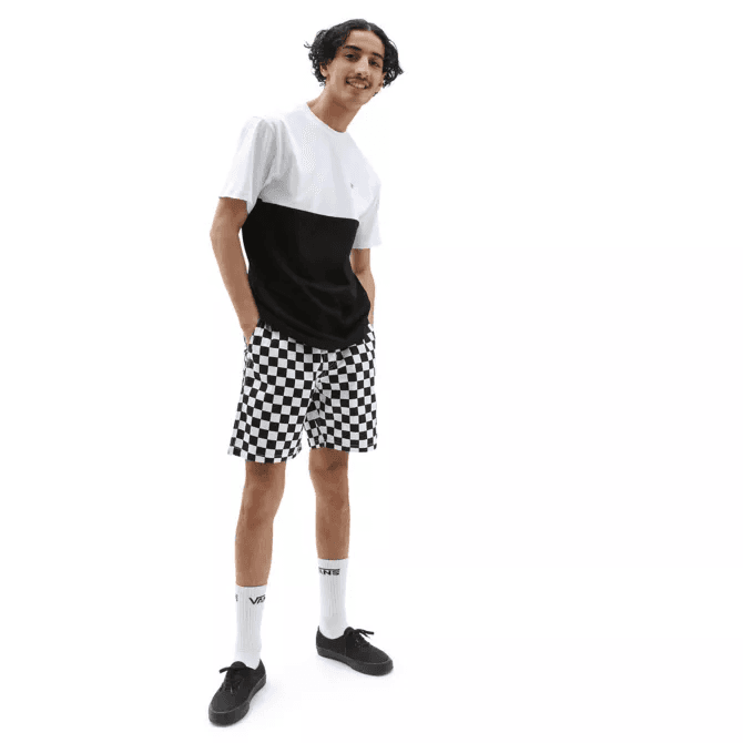 Vans MN COLORBLOCK TEE Pánské tričko US S VN0A3CZDY281 - náhled 4